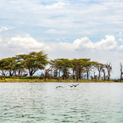 肯尼亚+迪拜12日10晚自由行 肯尼亚+迪拜12日10晚自由行