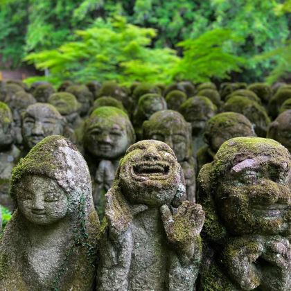 京都+奈良+宇治市2日1晚私家团 京都+奈良+宇治市2日1晚私家团