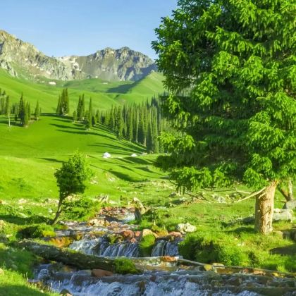 新疆北疆+伊犁7日6晚拼小团 新疆北疆+伊犁7日6晚拼小团