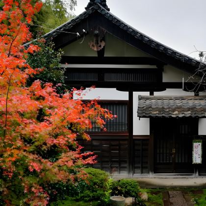 日本大阪+宇治市+京都+神户+奈良7日6晚拼小团 日本大阪+宇治市+京都+神户+奈良7日6晚拼小团