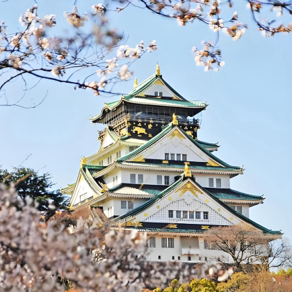 日本大阪+京都+东京+伊豆+清水寺+伊豆高原樱花通道+伊豆白滨海岸9日8晚拼小团 日本大阪+京都+东京+伊豆+清水寺+伊豆高原樱花通道+伊豆白滨海岸9日8晚拼小团