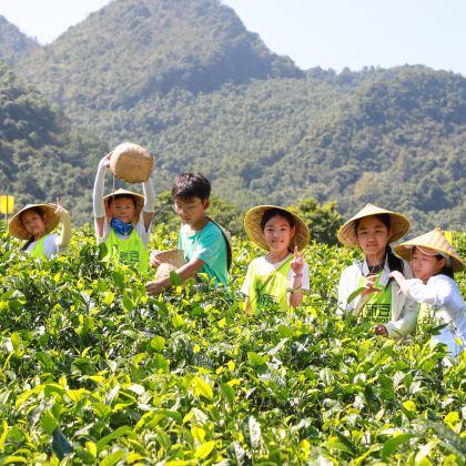 户外活动·【2026暑假】清远山野少年5天4晚独立营·采茶制茶+磨豆煮浆+挖笋+竹筒饭制作+亿年溶洞探索+高山溯溪+捉鱼虾+打水仗+8KM河流桨板+英石山盆景DIY 户外活动·【2026暑假】清远山野少年5天4晚独立营·采茶制茶+磨豆煮浆+挖笋+竹筒饭制作+亿年溶洞探索+高山溯溪+捉鱼虾+打水仗+8KM河流桨板+英石山盆景DIY