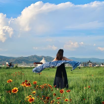 内蒙古呼和浩特+希拉穆仁草原+响沙湾2日1晚私家团 内蒙古呼和浩特+希拉穆仁草原+响沙湾2日1晚私家团