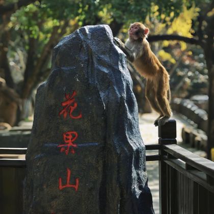 连云港3日2晚拼小团 连云港3日2晚拼小团