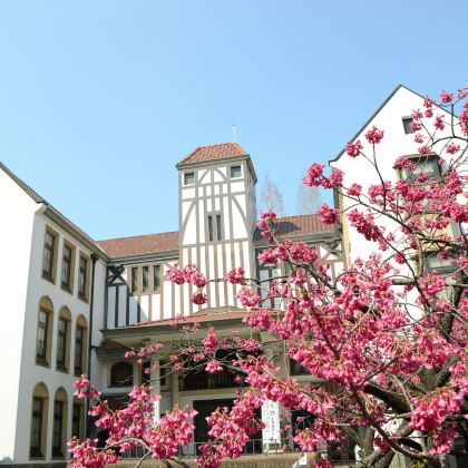 【秋假限定】·日本东京【双名校】3天2晚亲子营|东京大学&早稻田大学周末探校计划【48h预见未来】+周末高效沉浸式访学+在校留学生深度导览,学长学姐面对面深度交流留学心得+东京景点随心配 【秋假限定】·日本东京【双名校】3天2晚亲子营|东京大学&早稻田大学周末探校计划【48h预见未来】+周末高效沉浸式访学+在校留学生深度导览,学长学姐面对面深度交流留学心得+东京景点随心配