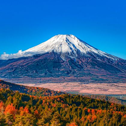 日本东京+日光市+富士山5日4晚私家团 日本东京+日光市+富士山5日4晚私家团