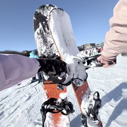 神农架2日1晚私家团 神农架2日1晚私家团