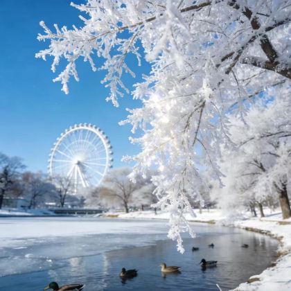 日本东京+北海道12日11晚私家团 日本东京+北海道12日11晚私家团