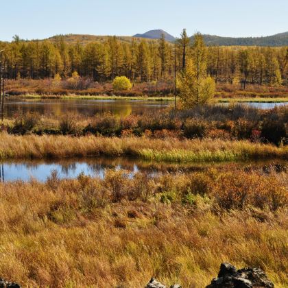 呼伦贝尔+阿尔山6日5晚跟团游 呼伦贝尔+阿尔山6日5晚跟团游
