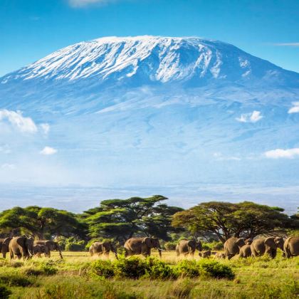 肯尼亚13日11晚拼小团 肯尼亚13日11晚拼小团