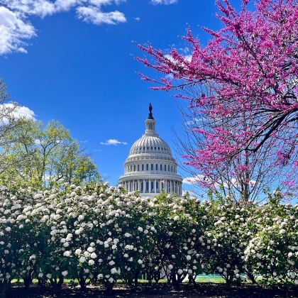 纽约+华盛顿10日8晚拼小团 纽约+华盛顿10日8晚拼小团