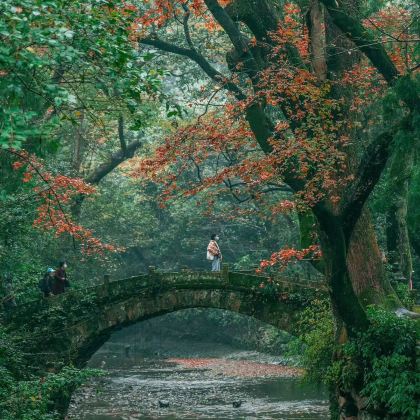 丽水仙都景区+神仙居+台州府城墙+天台山大瀑布3日2晚私家团 丽水仙都景区+神仙居+台州府城墙+天台山大瀑布3日2晚私家团