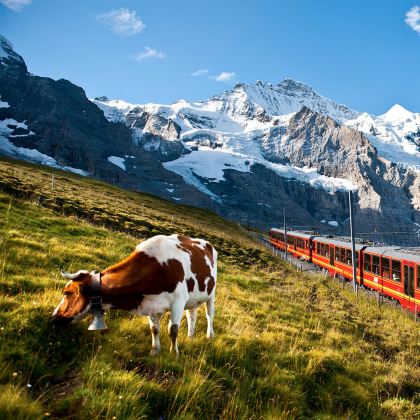 意大利+瑞士8日7晚自由行 意大利+瑞士8日7晚自由行