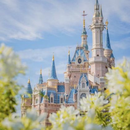 上海迪士尼度假区3日2晚私家团 上海迪士尼度假区3日2晚私家团