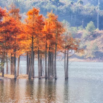 台州神仙居+天台山景区3日2晚私家团 台州神仙居+天台山景区3日2晚私家团