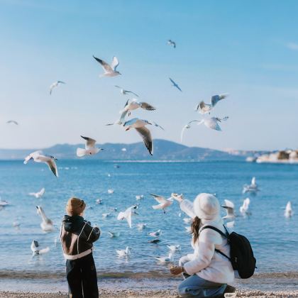 青岛3日2晚拼小团 青岛3日2晚拼小团