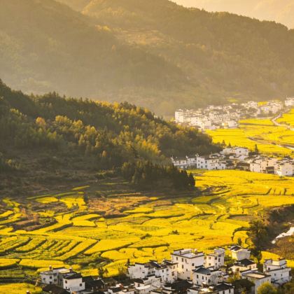 江西井冈山+庐山+景德镇+婺源+三清山+南昌8日7晚跟团游 江西井冈山+庐山+景德镇+婺源+三清山+南昌8日7晚跟团游