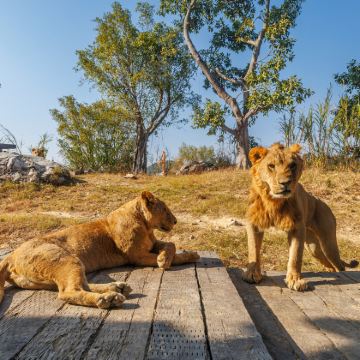 清远+清远长隆度假区2日1晚自由行 清远+清远长隆度假区2日1晚自由行