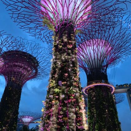 马尔代夫+新加坡13日11晚私家团 马尔代夫+新加坡13日11晚私家团