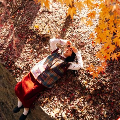 日本大阪5日4晚私家团 日本大阪5日4晚私家团