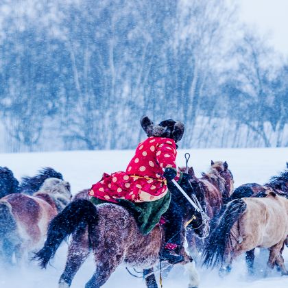 木兰围场+乌兰布统+锡林郭勒盟+崇礼区6日5晚跟团游 木兰围场+乌兰布统+锡林郭勒盟+崇礼区6日5晚跟团游