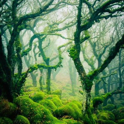 英国伦敦+伯恩矛斯+埃克塞特+巴斯+康瓦尔郡11日10晚私家团 英国伦敦+伯恩矛斯+埃克塞特+巴斯+康瓦尔郡11日10晚私家团