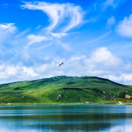 兰州+拉卜楞寺+郎木寺景区+若尔盖+扎尕那+官鹅沟大景区+麦积山石窟+崆峒山+炳灵寺石窟10日9晚私家团 兰州+拉卜楞寺+郎木寺景区+若尔盖+扎尕那+官鹅沟大景区+麦积山石窟+崆峒山+炳灵寺石窟10日9晚私家团