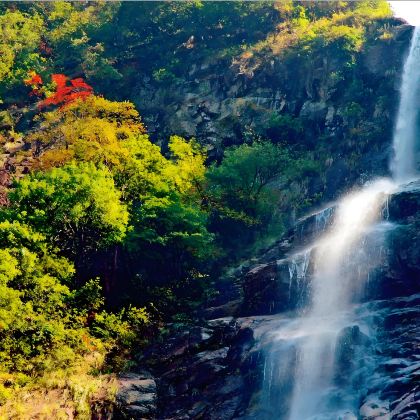 宜春+宜春明月山旅游区+青云栈道+羊狮幕+酌江溶洞+禅都文化博览园+明月山国家级风景名胜区-月亮湖4日3晚私家团 宜春+宜春明月山旅游区+青云栈道+羊狮幕+酌江溶洞+禅都文化博览园+明月山国家级风景名胜区-月亮湖4日3晚私家团