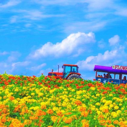 日本北海道6日5晚私家团 日本北海道6日5晚私家团
