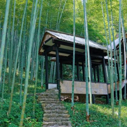 江苏鼋头渚+灵山胜境+宜兴竹海3日2晚自由行 江苏鼋头渚+灵山胜境+宜兴竹海3日2晚自由行