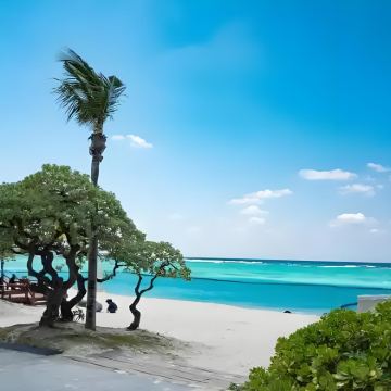 日本冲绳岛+冲绳 丛丽亚乐园+名护菠萝园+部濑名海中公园6日5晚拼小团 日本冲绳岛+冲绳 丛丽亚乐园+名护菠萝园+部濑名海中公园6日5晚拼小团