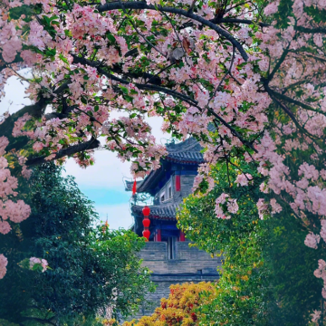 西安5日4晚私家团 西安5日4晚私家团