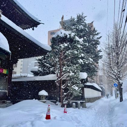 东京+北海道札幌7日6晚跟团游 东京+北海道札幌7日6晚跟团游