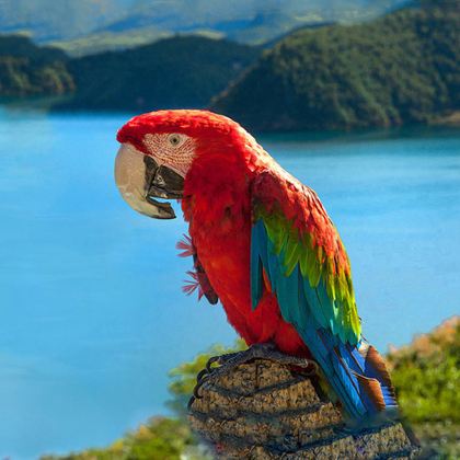 丽江+泸沽湖2日1晚拼小团 丽江+泸沽湖2日1晚拼小团