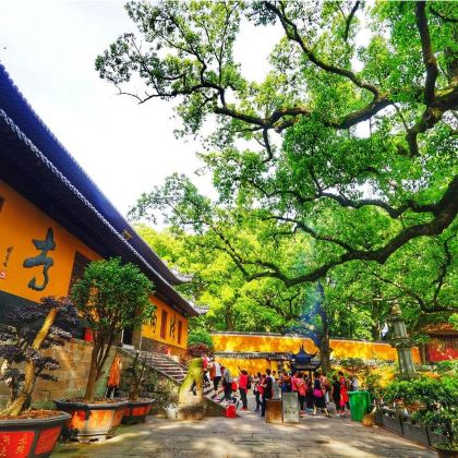 浙江宁波+普陀山3日2晚跟团游 浙江宁波+普陀山3日2晚跟团游