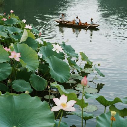 云南昆明+建水+元阳+弥勒+抚仙湖5日4晚私家团 云南昆明+建水+元阳+弥勒+抚仙湖5日4晚私家团