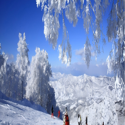 日本妙高高原7日6晚自由行 日本妙高高原7日6晚自由行