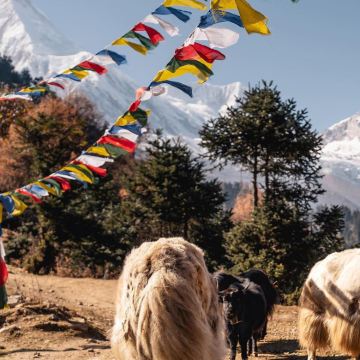 尼泊尔加德满都+珠峰南坡(EBC)徒步+Gokyo Ri Trek15日14晚跟团游 尼泊尔加德满都+珠峰南坡(EBC)徒步+Gokyo Ri Trek15日14晚跟团游