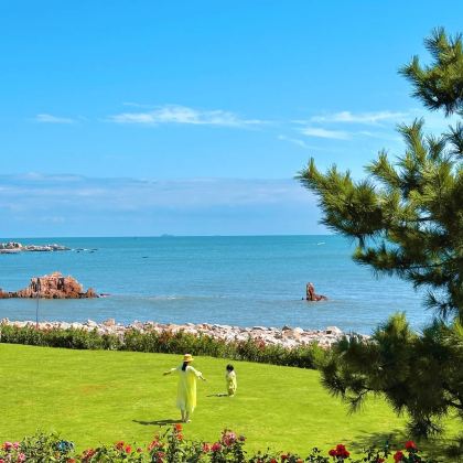 青岛3日2晚拼小团 青岛3日2晚拼小团