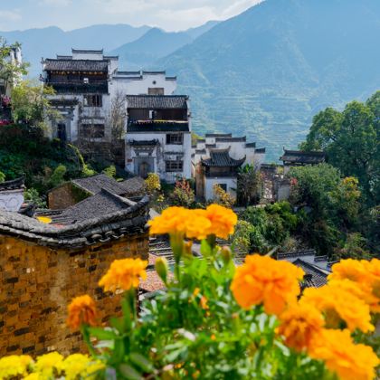 江西南昌+庐山+景德镇+婺源6日5晚跟团游 江西南昌+庐山+景德镇+婺源6日5晚跟团游