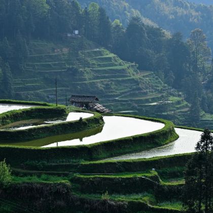 贵阳+中国天眼景区+荔波小七孔景区+肇兴侗寨+堂安梯田+贵州村超+三宝千户侗寨景区5日4晚私家团 贵阳+中国天眼景区+荔波小七孔景区+肇兴侗寨+堂安梯田+贵州村超+三宝千户侗寨景区5日4晚私家团