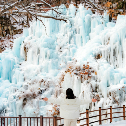 韩国首尔+南怡岛5日4晚私家团 韩国首尔+南怡岛5日4晚私家团