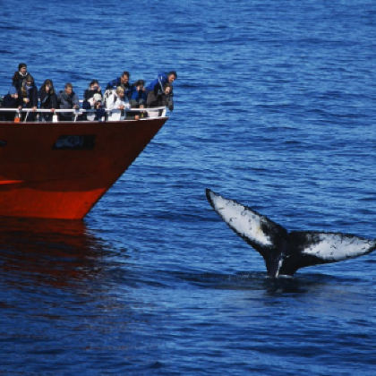 芬兰+挪威+瑞典+冰岛15日私家团 芬兰+挪威+瑞典+冰岛15日私家团