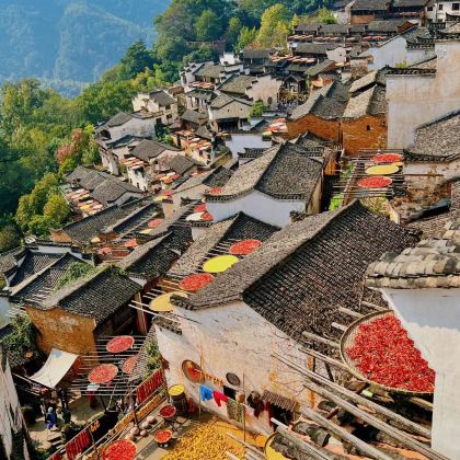 江西南昌+庐山+婺源+景德镇+三清山+望仙谷5日4晚跟团游 江西南昌+庐山+婺源+景德镇+三清山+望仙谷5日4晚跟团游