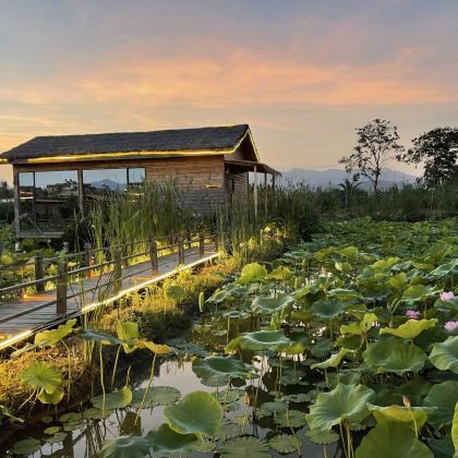 昆明+新平哀牢山+抚仙湖+石门峡风景区5日4晚私家团 昆明+新平哀牢山+抚仙湖+石门峡风景区5日4晚私家团