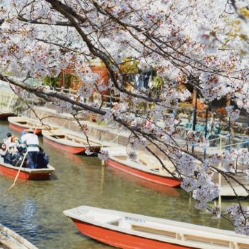 日本九州+福冈+熊本+大分+柳川市6日5晚私家团 日本九州+福冈+熊本+大分+柳川市6日5晚私家团