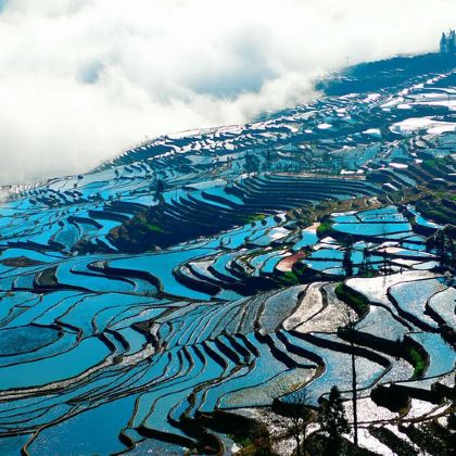 东川红土地+物茂土林(虎跳滩土林)+抚仙湖+建水古城+朱家花园+团山民居+元阳哈尼梯田+碧色寨风景区+普者黑景区+坝美世外桃源景区+东风韵景区+湖泉生态园8日7晚跟团游 东川红土地+物茂土林(虎跳滩土林)+抚仙湖+建水古城+朱家花园+团山民居+元阳哈尼梯田+碧色寨风景区+普者黑景区+坝美世外桃源景区+东风韵景区+湖泉生态园8日7晚跟团游