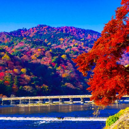 日本大阪+京都7日6晚私家团 日本大阪+京都7日6晚私家团