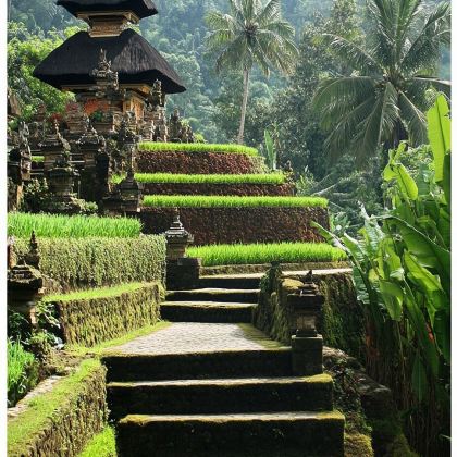 印度尼西亚雅加达+日惹+巴厘岛10日9晚跟团游 印度尼西亚雅加达+日惹+巴厘岛10日9晚跟团游