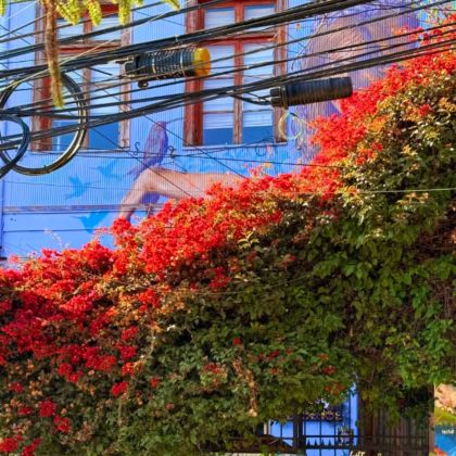 圣地亚哥首都大区+瓦尔帕莱索大区+伊瓜苏国家公园+伊瓜苏瀑布+福斯-杜伊瓜苏+里约热内卢州+布宜诺斯艾利斯11日10晚私家团 圣地亚哥首都大区+瓦尔帕莱索大区+伊瓜苏国家公园+伊瓜苏瀑布+福斯-杜伊瓜苏+里约热内卢州+布宜诺斯艾利斯11日10晚私家团